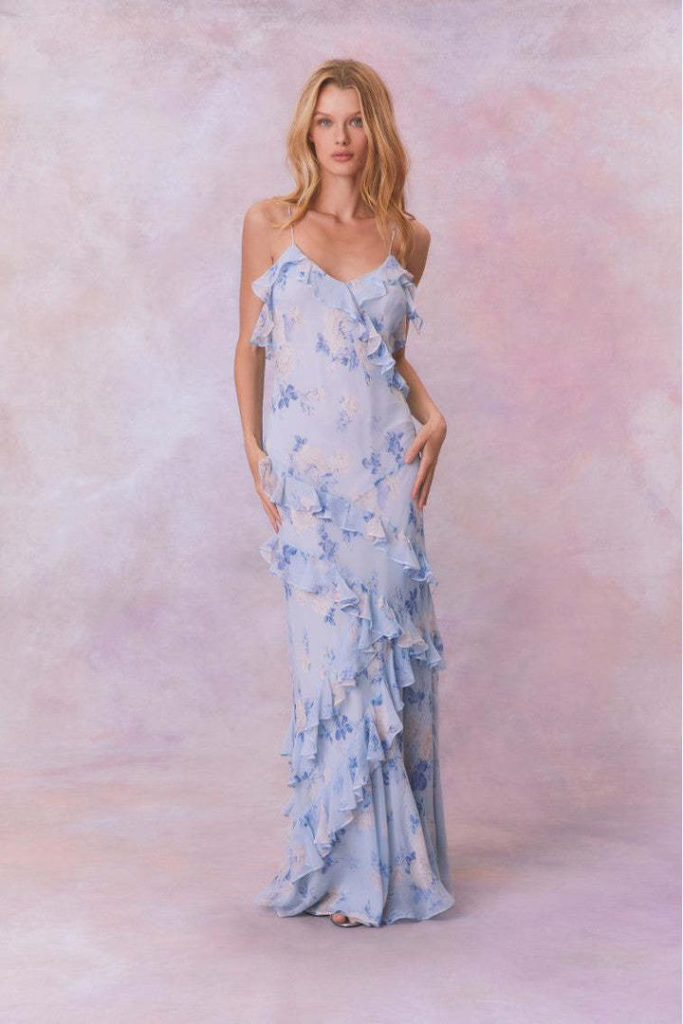 Fancy blue rose dress