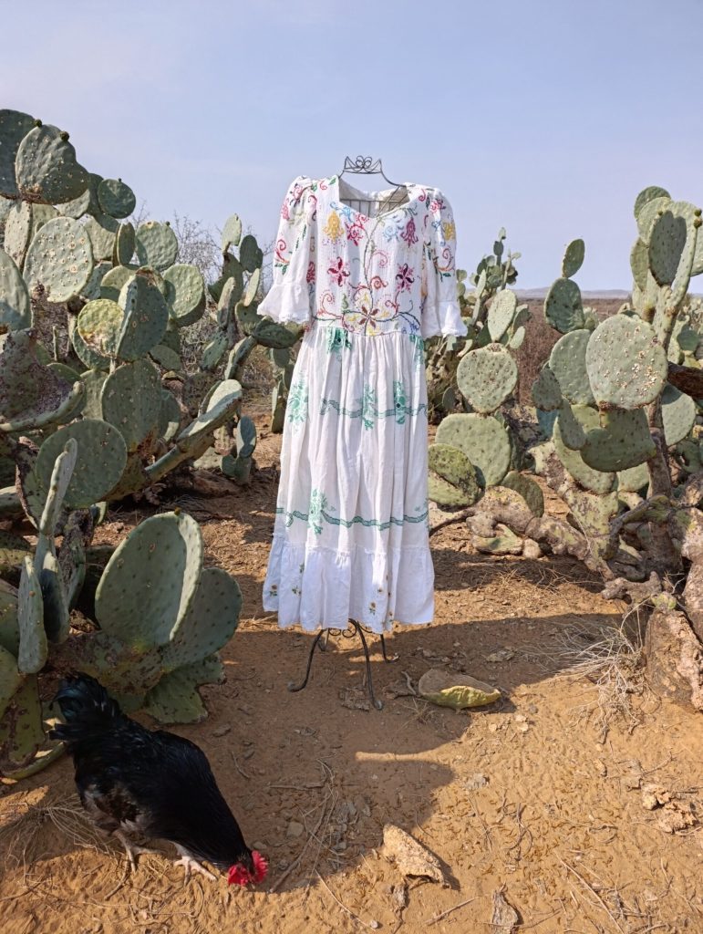 Karoo kind rok
